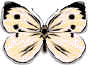 butterfly.jpg (2267 bytes)